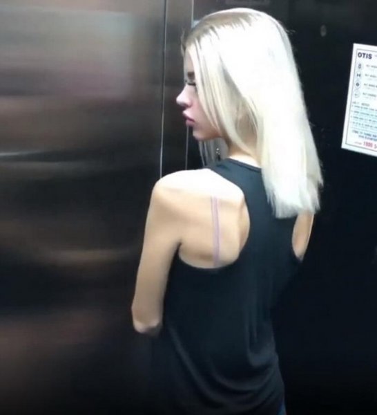 We Met In the Elevator - Freya Stein