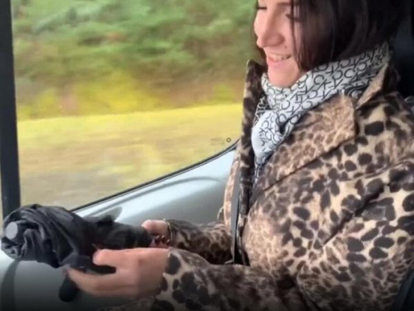A Truck Driver Fucked a Amazing Brunette in the Woods - horny69rabbits